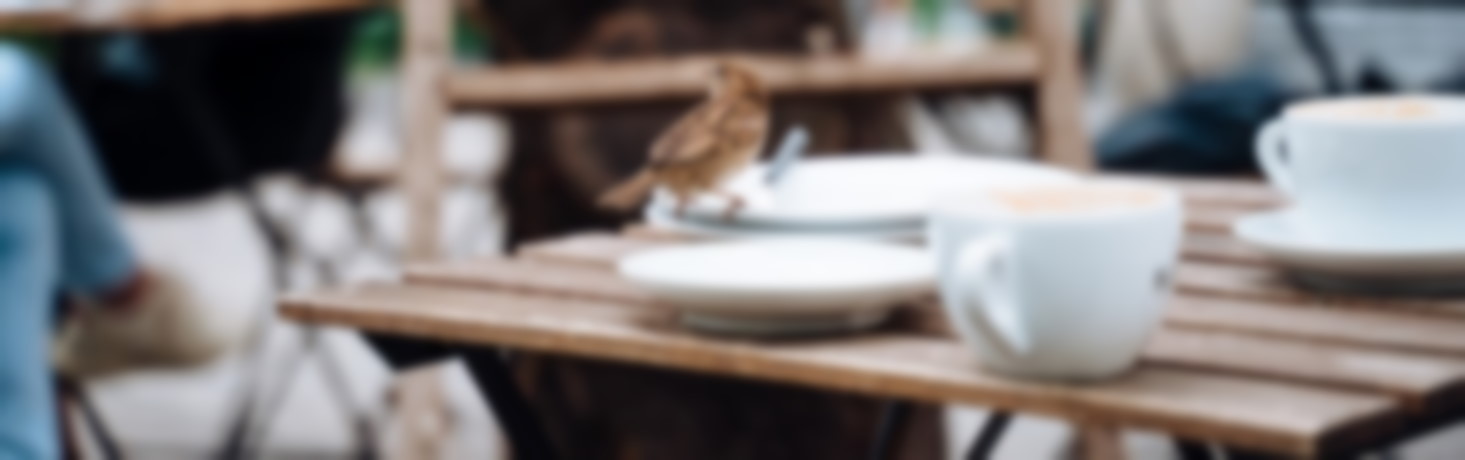 Picture of Bird In Cafe