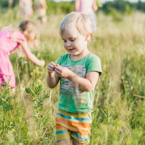 Picture of a boy in a fields